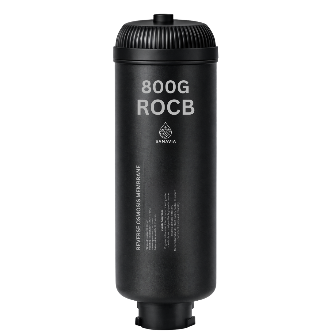 Reverse osmosis carbon block filter